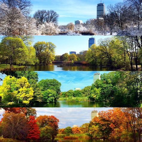 A photographer took one photo from the same spot in Massachusetts during each of the four seasons, this is the result. Amazing. Four Seasons Art, Montreal Botanical Garden, Seasons Photography, Seasons Posters, Autumnal Equinox, Seasons Art, 4 Seasons, Landscape Walls, Science And Nature