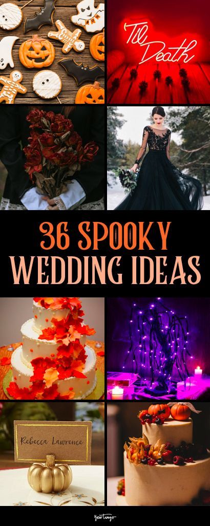 Spooky Wedding Ideas, Halloween Wedding Ideas, Halloween Costume Wedding, Spooky Wedding, Halloween Wedding Cakes, Medieval Wedding Dress, Halloween Themed Wedding, Halloween Traditions, Ideas For Halloween