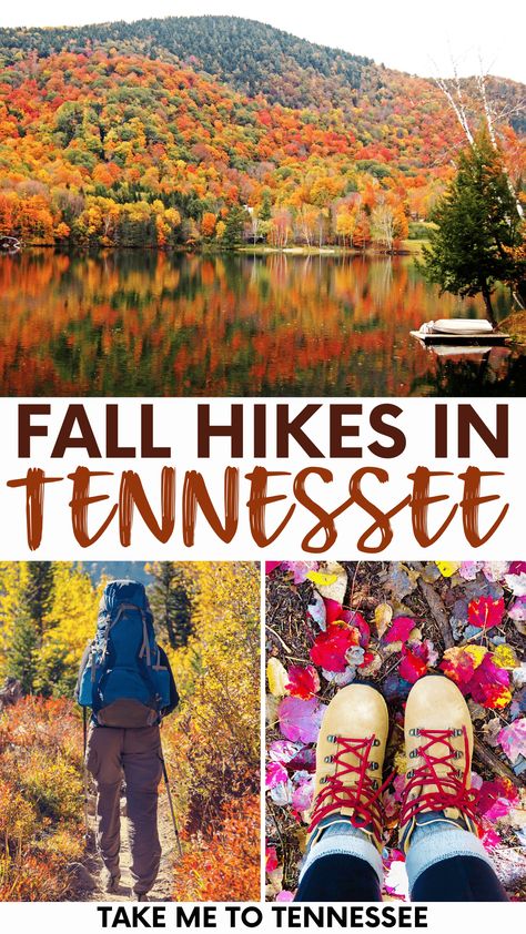 Best Hikes In Tennessee, Nashville Hiking, Hiking List, Tennessee Attractions, Fall Foliage Road Trips, Nashville Travel Guide, Nashville Travel, Smoky Mountains Tennessee, Fall Hikes