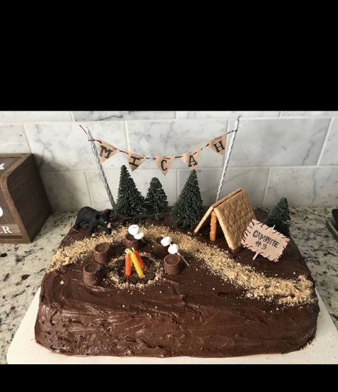 Campfire Cakes, Camping Cake, Camping Theme Cakes, Campfire Cake, Camping Cakes, Camping Birthday, Diy Birthday Party, Diy Cake, 11th Birthday