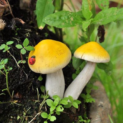 Fairy Mushrooms, Yellow Fairy, Yellow Mushroom, Mushroom Pictures, Miniature Fairy Garden, Mushroom Fairy, Mini Fairy Garden, Fairy Garden Supplies, Garden Mini