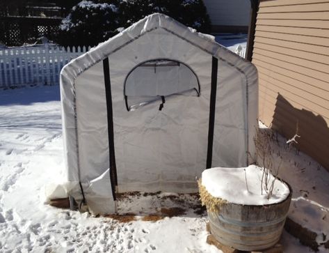 Portable Greenhouse/IG Potty Shelter (??) Dog Poop Area, Italian Greyhound Rescue, Porch Potty, Dog Potty Area, Puppy Diy, Greyhound Rescue, Cold Weather Dogs, Dog Bathroom, Outside Dogs