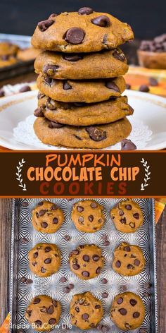 Best Pumpkin Chocolate Chip Cookies, Pumpkin Chocolate Chip Cookies Recipe, Pumpkin And Chocolate, Cookies Fall, Soft Pumpkin Cookies, Chocolate Homemade, Chocolate Chip Cookies Recipe, Pumpkin Chocolate Chip Cookies, Pumpkin Chocolate Chip