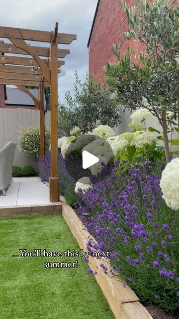 Modern Hydrangea Landscaping, Plant Borders Ideas, Hydrangea Garden Front Yard Landscaping Flower Beds, Flower Bed Hydrangea, Hydrangea Along House, Hydrangea And Allium Garden, Small Hydrangea Garden, Hydrangea Hedge Fence, Lavender In Front Of House