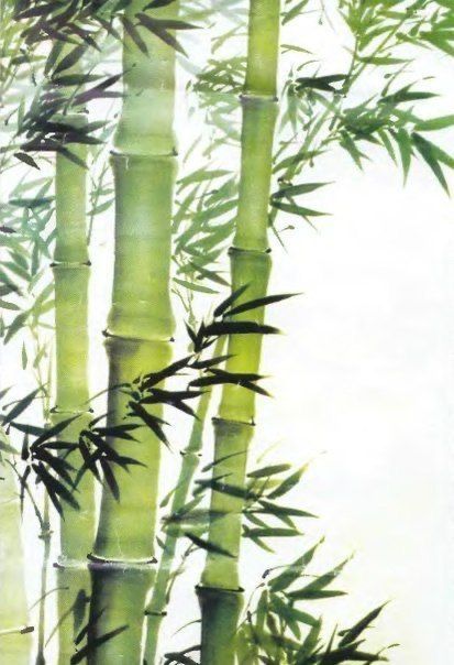 Bamboo Art Painting, Bamboo Drawing, Painting On Canvas For Beginners, Learn Watercolor Painting, Interior Design Drawings, Chinese Art Painting, Canvas For Beginners, Plant Art Print, Afrikaanse Kunst