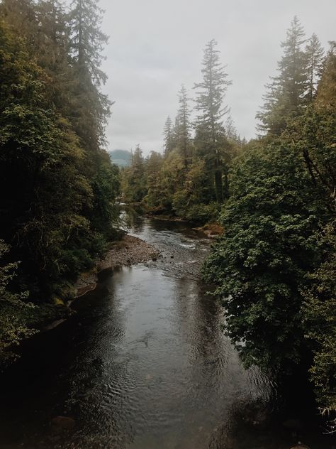 Oregon Astethic, Astoria Oregon Aesthetic, Pnw Autumn, Oregon Coast Aesthetic, Pnw Coast, Pnw Summer, Oregon Aesthetic, Pnw Aesthetic, Forest Oregon