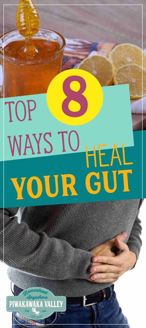 Digestive Issues Natural Remedies, Improve Digestive System, How To Fix My Gut Health, How To Fix Gut Issues, Herbs To Heal, Repair Gut Health, How To Fix Digestive Issues, Growing Herbs Inside, Restore Gut Health After Antibiotics