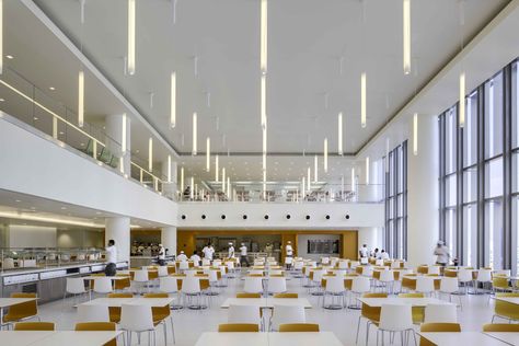 Cafeteria Interior Design, School Cafeteria Design, Canteen Design, Cafeteria Design, Le Rosey, Spiral Stair, School Building Design, School Hallways, School Interior