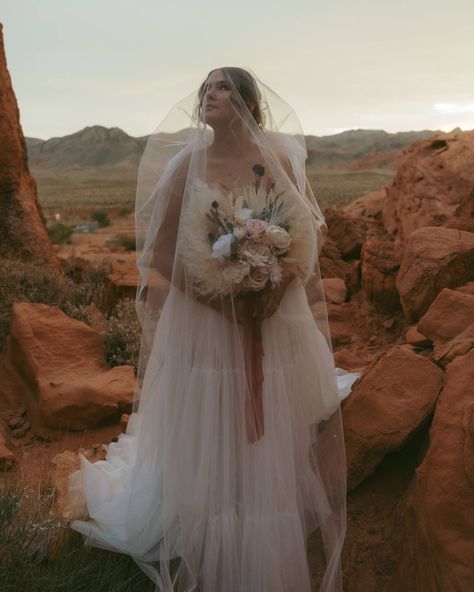 I’ve been trying so hard to hold off on posting any pictures from this beautiful day because I’m not even done editing, but I can’t do it anymore 😅 here’s one for now, but like isn’t she gorg?! 🥹 #arizonaelopement #arizonawedding #arizonaphotographer #southwest #azelopement #elopementphotographer #elopement #nevadaelopement #engagementphotgrapher #elope #wedding #azelopementphotographer #sedona #sedonaphotographer #cinematicphotographer #valleyoffire #valleyoffirewedding Valley Of Fire, Arizona Photographer, Arizona Wedding, Elope Wedding, Sedona, Elopement Photographer, Beautiful Day, Nevada, Elopement