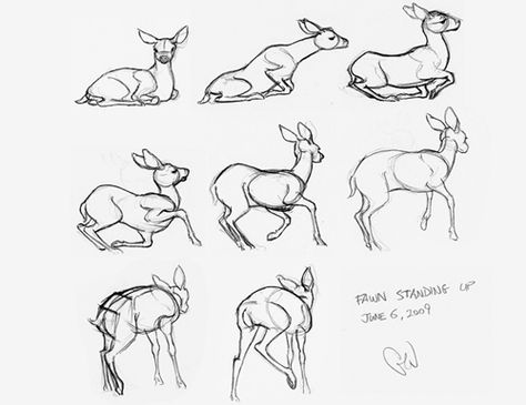 sketch animals  | Deer Frizzbie on Pinterest | Deer, Deer Sketch and Baby Deer Deer Poses Reference, Deer Reference Drawing, Deer Laying Down Reference, Deer Sitting Drawing, Fawn Drawing Reference, Deer Eating Grass Drawing, Deer Laying Down Drawing, Doe And Fawn Drawing, Deer Walk Cycle