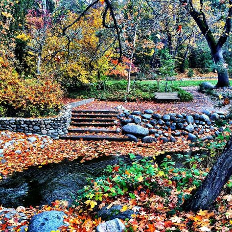 Lithia Park Ashland Oregon, Ashland Oregon, Oregon Photography, Random Items, Manifestation Board, Greatest Adventure, Autumn Inspiration, Pacific Northwest, North West