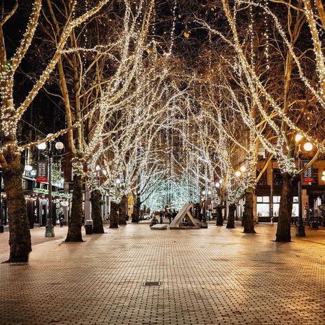 Pioneer Square Seattle on Instagram: “The holiday lights are twinkling, join us for the celebrations! Come see the holiday lights in the square and then venture out for a self…” Pioneer Square Seattle, Evergreen State, Pike Place Market, Downtown Seattle, Pacific Nw, Photoshoot Idea, Emerald City, Space Needle, Holiday Lights