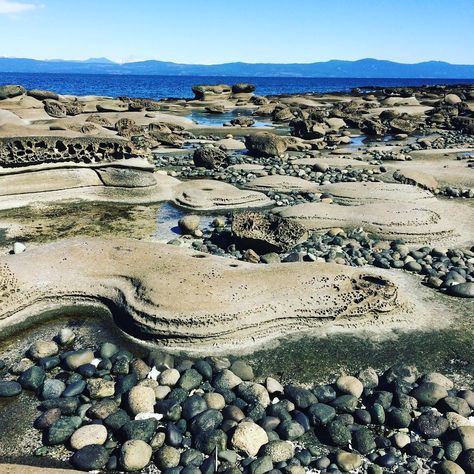 Cameron Thurbide 🇨🇦 on Instagram: “Exploring Barnacle Beach on Hornby Island this afternoon. It’s like being on another planet!!! Spectacular!  #gulfislands #myhornbystory…” Hornby Island, Another Planet, Find Your Way, Vancouver Island, Best Vacations, British Columbia, Natural World, West Coast, Travel Inspiration