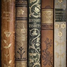 1900s Aesthetic, Tennyson Poems, Aesthetic Pretty, Mermaid Aesthetic, Southern Gothic, Vintage Icons, Dark Corners, Throne Of Glass, Ethereal Art