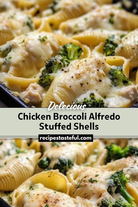 Creamy and cheesy stuffed pasta shells filled with tender chicken and broccoli, all coated in a rich Alfredo sauce. Chicken Alfrado, Cheesy Stuffed Pasta, Alfredo Stuffed Shells, Chicken Alfredo Stuffed Shells, Chicken Stuffed Shells, Chicken Broccoli Alfredo, Jumbo Pasta Shells, Stuffed Pasta, Shells Recipe