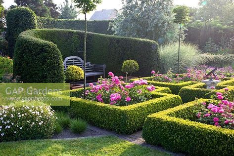 Formal Rose Garden, Parterre Garden, Boxwood Garden, Rose Garden Design, Garden Hedges, Estate Garden, Cottage Garden Design, Plant Photography, Formal Gardens