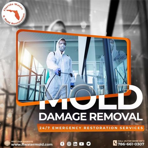 Mold Damage Removal - 24/7 EMERGENCY RESTORATION . SERVICE! Residential & Commercial - Mold removal services. We're a restoration company that works 24/7 . for any inquiry 📲 Call us: 786-661-0307 . 📧 EMAIL: flwatermold@gmail.com ➖➖➖➖➖➖➖➖➖➖➖➖➖➖➖➖➖➖➖➖➖ Our Services - SOLUTION FOR WATER, MOLD AND FIRE REMEDIATION : ✔️ Water Damage Restoration Services ✔️Fire and Smoke Remediation Services ✔️ Mold Remediation Services ✔️Shrink Wrapping Services #firedamage #waterdamage #restoration #mold #moldrem Mold Removal, Mold Remediation, Fire Damage, Mold Remover, Restoration Services, Water Damage, Shrink Wrap, Molding, Florida