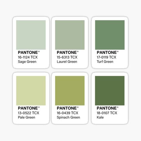 Green Color Palette Aesthetic, Green Pantone Palette, Pantone Green Colors, Color Swatch Green, Green Pantone, Color Verde Agua, Pantone Green, Blue Pantone, Pantone Palette