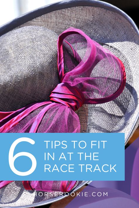 Are you ready for a horse race? Here's is what you need to know before heading to your next horse race. Off To The Races, Budget Outfits, Horse Race, Equestrian Lifestyle, Starter Pack, The Horse, Race Track, A Horse, Horse Racing