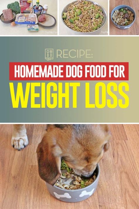 Homemade Weight Loss Dog Food Recipe Dog Food Recipe, Diy Dog Food, Dog Weight, Dog Diet, Healthy Dog Food Recipes, Best Dog Food, Dog Care Tips, Homemade Dog Food, Dog Obedience