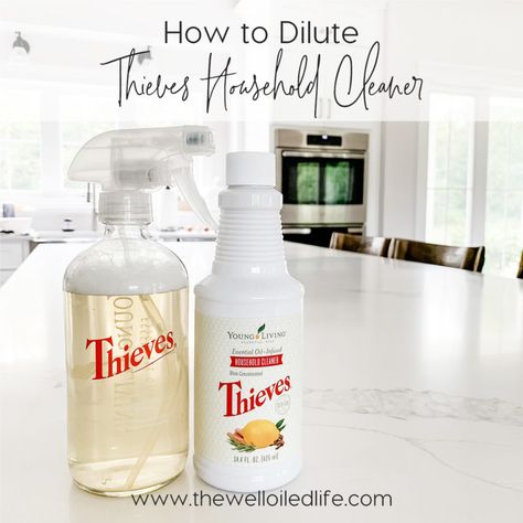 Thieves Cleaner Recipe, Diy Thieves, Young Living Recipes, Young Living Thieves, Thieves Cleaner, Thieves Household Cleaner, Thieves Essential Oil, Young Living Essential Oils Recipes, Cleaner Recipes