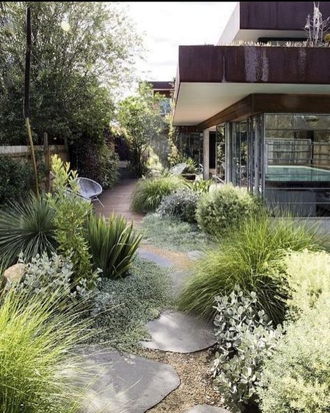 Side House Garden, Lots Of Plants, Australian Native Garden, Walkway Landscaping, Front Yard Garden Design, Coastal Gardens, Walled Garden, Grasses Garden, Native Garden