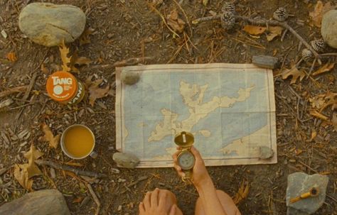 moonrise kingdom Matthew Stone, Wes Anderson Style, Wes Anderson Movies, Wes Anderson Films, Hello August, Edward Norton, Moonrise Kingdom, Design Basics, Fruit Photography