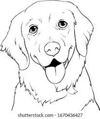 Golden retriever outline Images, Stock Photos & Vectors | Shutterstock Golden Retriever Outline, Golden Retriever Illustration, Gold Retriever, Golden Retriever Drawing, Golden Retriever Painting, Line Drawing Images, Golden Retriever Silhouette, Patchwork Applique, Golden Retriever Art