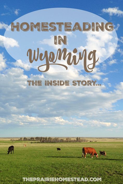 Moving To Wyoming, Living In Wyoming, Wyoming Living, Tn Girl, The Prairie Homestead, Wyoming Flag, Prairie Farmhouse, Prairie Homestead, Wyoming Vacation