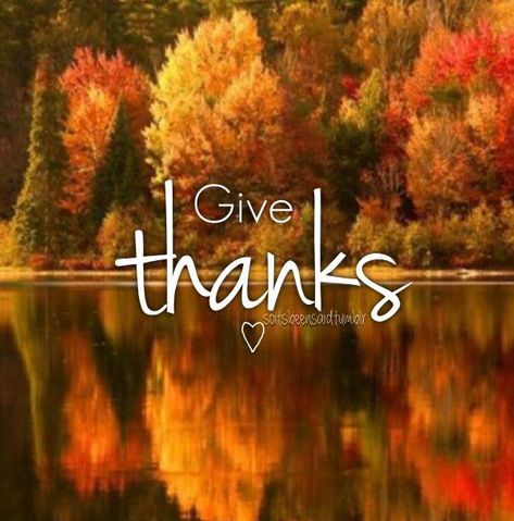 Happy Thanksgiving Images, Fashion Quotes Inspirational, Thanksgiving Prayer, Thanksgiving Pictures, Thanksgiving Blessings, Thanksgiving Wishes, Thankful Quotes, Thanksgiving Inspiration, Thanksgiving Images