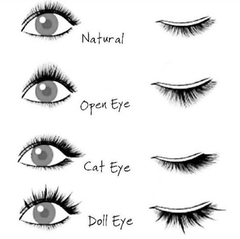 Color Lashes, Lash Bar, Lash Extentions, Lash Style, Eyelash Extensions Styles, Perfect Eyelashes, Eyelash Extentions, Lashes Logo, Silk Lashes