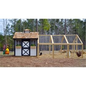 Easy Diy Chicken Coop, Chicken Coop And Run, Coop And Run, Build A Chicken Coop, Wyandotte Chicken, Backyard Chicken Coop, Chicken Barn, Pet Chicken, Portable Chicken Coop