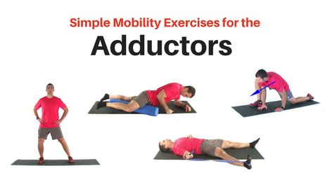 Simple Hip Adductor Stretches and and Mobility Exercises Adductor Stretch, Hip Adduction, Adductor Workout, Bowen Therapy, Lower Body Workout Routine, Corrective Exercises, Inner Thigh Muscle, Thigh Workout, Sciatica Exercises