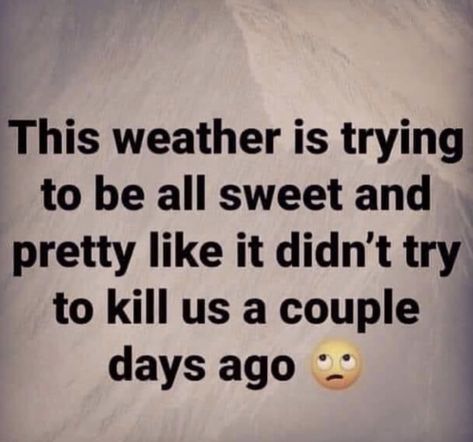 Cool Weather Quotes, Crazy Weather, Weather Quotes, Funny Statements, Funny As Hell, Ecards Funny, Work Humor, Sarcastic Quotes, Funny Signs