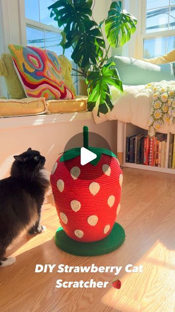 Cat Toy Box Ideas, Cat Scratcher Diy, Diy Pet Accessories, Cat Hammock Tutorial, Cat Toy Diy, Diy Cat Scratcher, Diy Cat Bed, Strawberry Cat, Diy Instagram