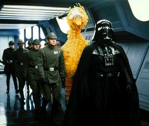 Darth Vader And Big Bird Star Wars Meme, Office Memes, Humor Videos, Gay Memes, Fresh Memes, Work Memes, Memes Humor, Very Funny Pictures, Star Wars Memes