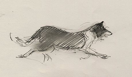 Scared Dog Drawing, Scared Dog, Dog Running, Dog Drawing, Bridge, Humanoid Sketch, Running, Drawings, Dogs