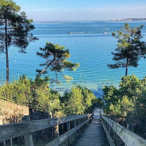 Un des plus beau panorama sur le Bassin, près du port de la Vigne :) Magnifique photo de @isabelledepaire #hiver #BassindArcachon #paysage #legecapferret #vue #arcachon #espritbassin #view #landscape #sea #mer #pin #escalier #panorama #vuemer #repost #instagram Bucketlist Summer, 2024 Travel, Beautiful France, Landscape Sea, Fav Place, View Landscape, Cap Ferret, Summer Bucket Lists, Aquitaine