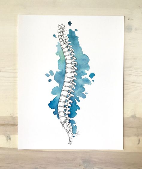 Spine Watercolor Print Anatomy Art Medical Wall Decor Pilates | Etsy India Spine Watercolor, Spine Drawing, Medical Artwork, Medical Cabinet, Watercolor Art Paintings, Water Colours, Silhouette Stencil, Clinic Design, Medical Art