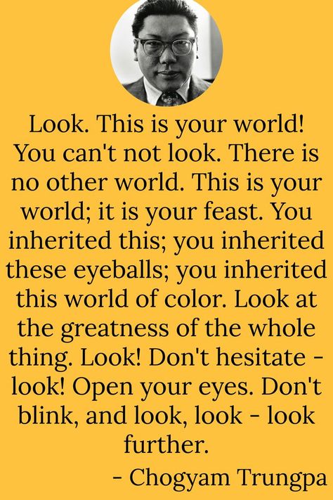 Text reads: Look. This is your world! You can't not look. There is no other world. This is your world; it is your feast. You inherited this; you inherited these eyeballs; you inherited this world of color. Look at the greatness of the whole thing. Look! Don't hesitate - look! Open your eyes. Don't blink, and look, look - look further.
- Chogyam Trungpa Chogyam Trungpa, Advaita Vedanta, Buddhist Philosophy, Everything Is Energy, Unusual Words, Inspirational Prayers, Open Your Eyes, World Of Color, Spiritual Quotes