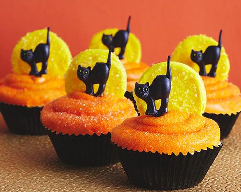 Black Cat Cupcakes, Biscuits Halloween, Orange Icing, Cat And Moon, Cold Cake, Cat Cupcakes, Moon Halloween, Zucchini Cake, Magic Cake