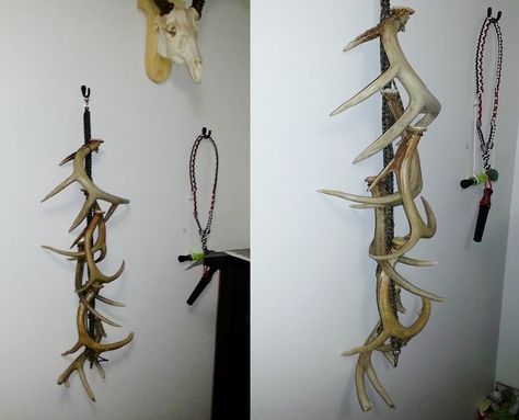 shed antler display! many ways to hang! Ways To Display Antler Sheds, Hanging Antlers On Wall, Antler Shed Display Ideas, Deer Shed Display, Shed Antler Display Ideas, Deer Antler Display, Antler Display Ideas, Hunting Cabin Ideas, Deer Antler Ideas