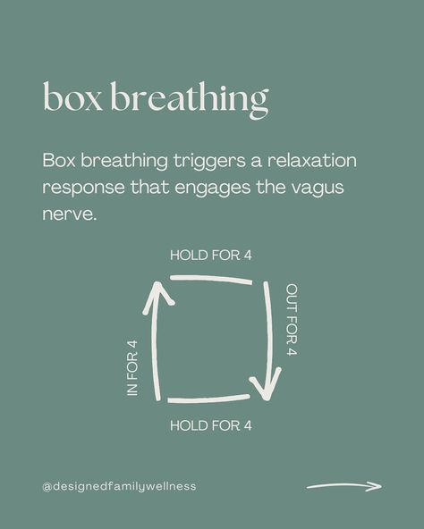 Vagus Nerve Breathing, Calm Box, Box Breathing, The Vagus Nerve, Relaxation Response, How To Calm Nerves, Wellness Trends, Vagus Nerve, Things I Want