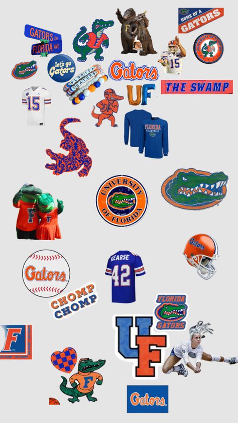 #go gators#🐊 Uf Gator, Us Universities, Dream College, University Of Florida, Florida Gators, Softball, University, Florida