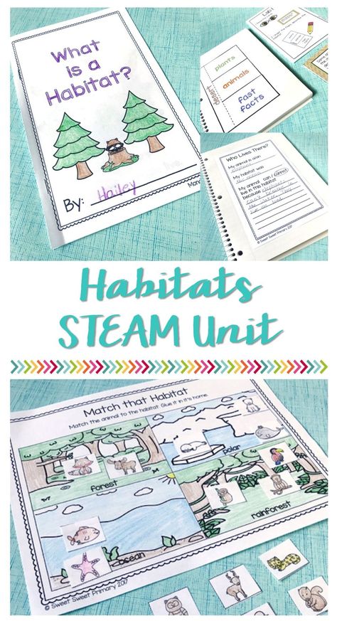 Habitat Activities For Kids, Habitats For Kindergarten, Habitat Kindergarten, Third Grade Science Experiments, Animal Habitat Activities 2nd Grade, 2nd Grade Habitat Activities, 2nd Grade Animal Habitats, Third Grade Science Lessons, Habitats And Communities Grade 4