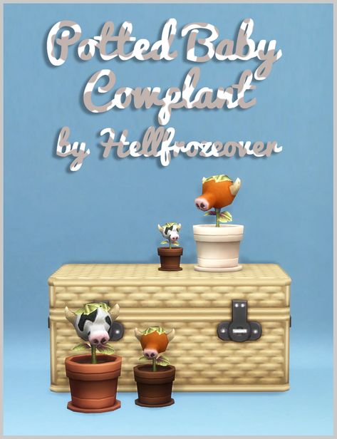 Potted Baby Cowplant | ice-creamforbreakfast on Patreon Sims Baby, Outside Plants, Sims 4 Clutter, Desk Buddy, Sims 4 Expansions, Candle Basket, Cow Decor, Trending Photos, Sims Four