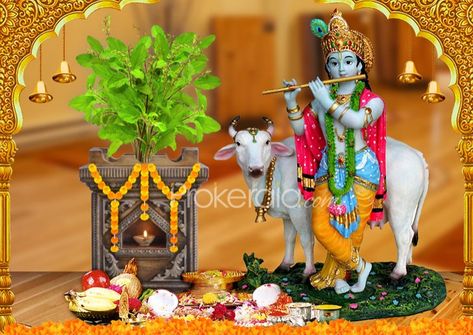 Tulsi Vivah Tulasi Vivah, Thulasi Plant, Tulasi Plant, Tulsi Pot, Ganesha Rangoli, Krishna Birthday, Tulsi Vivah, Tulsi Plant, Housewarming Decorations