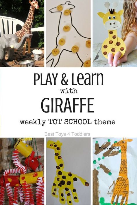 Best Toys 4 Toddlers - 7 Days of Giraffe Themed Activities for Tot School - play and leaning activities for toddlers and preschoolers with free printable weekly planner Safari Preschool, Dear Zoo Book, G Is For Giraffe, Tot School Themes, Letter G Activities, Sensory Language, Giraffe Theme, Tot Trays, Zoo Activities