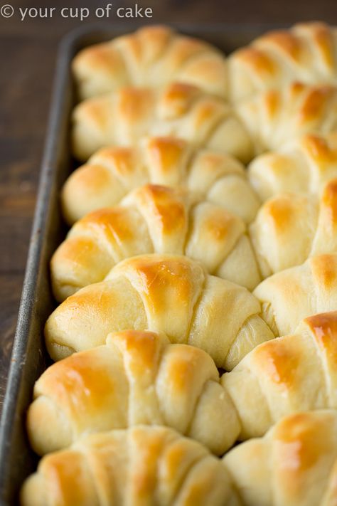 The World's Best Potato Rolls will ruin you.  You'll never want to make frozen rolls again after having these buttery, delicious, pillowy soft dinner rolls.  The Recipe for the World's Best Potato Rolls You think I'm kidding.  I dare you to find a better recipe!  Every time I make these people beg for the recipe and say, 'These are the best rolls I've ever had.'  I made them for my husband the first time last week and when he bit into one his eyes lit up like a little kid at Christmas! He was Best Rolls, Rolls Dinner, Cup Of Cake, Frozen Rolls, Potato Rolls, Pan Relleno, Bread Rolls Recipe, Freshly Baked Bread, Homemade Rolls