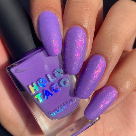 Holotaco Nails, Pure Makeup, Holo Taco, Nail Polish Art, Vacation Nails, Dark Nails, August 26, Nail Nail, Cute Nail Designs